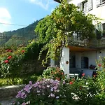 Al Lambic 提尼亚类