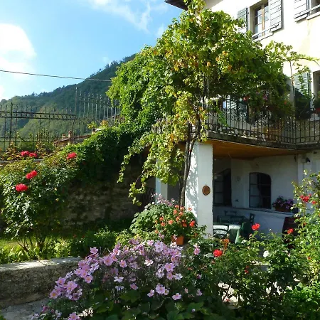 Al Lambic טיניאלה